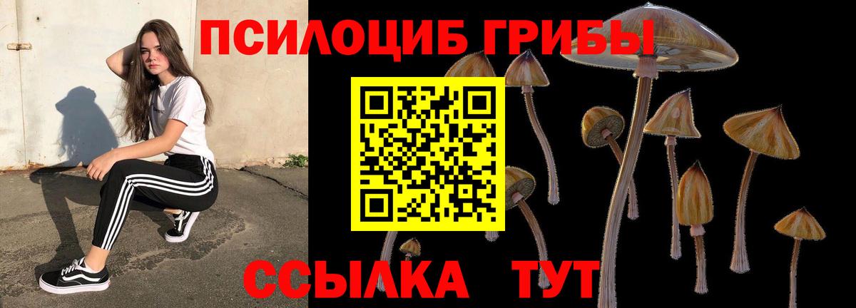 Новошахтинск  Галлюциногенные грибы Magic Shrooms  Вход с VPN 